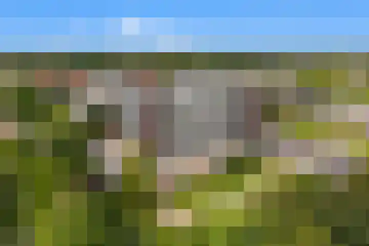 Sans Souci 90 Castricum thumbnail 30