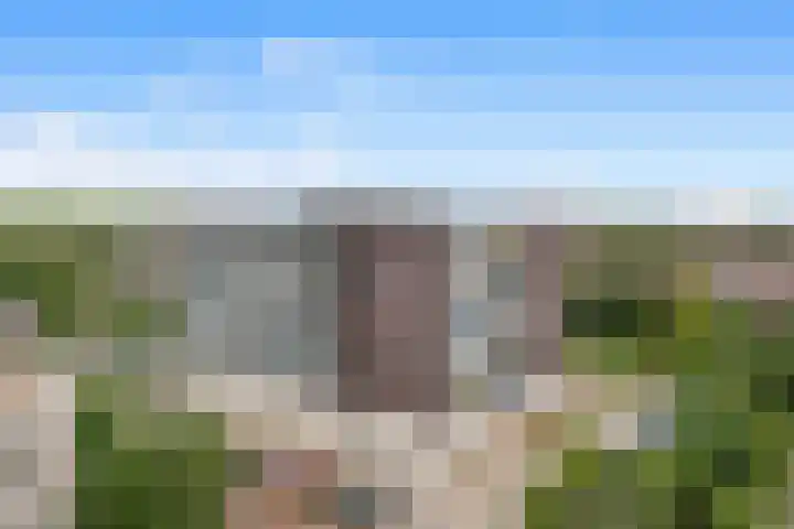 Sans Souci 90 Castricum thumbnail 31