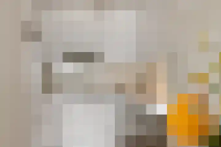 Sans Souci 90 Castricum thumbnail 8