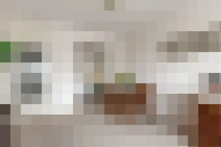 Sans Souci 90 Castricum thumbnail 9