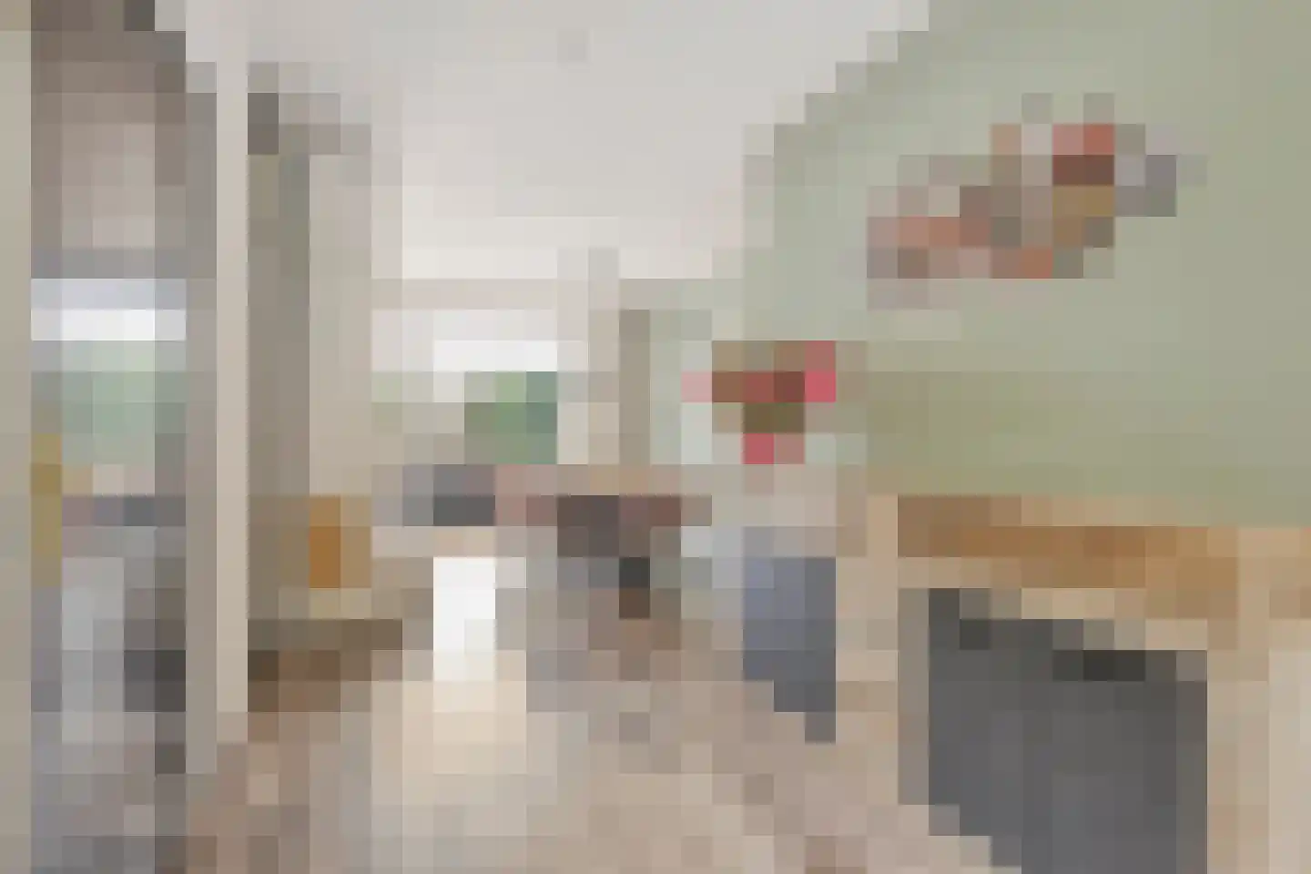 Sanshofstraat 12 Venray thumbnail 10