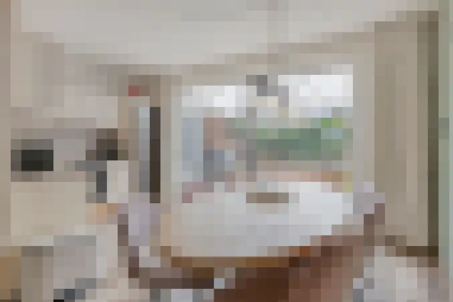 Sanshofstraat 12 Venray thumbnail 12