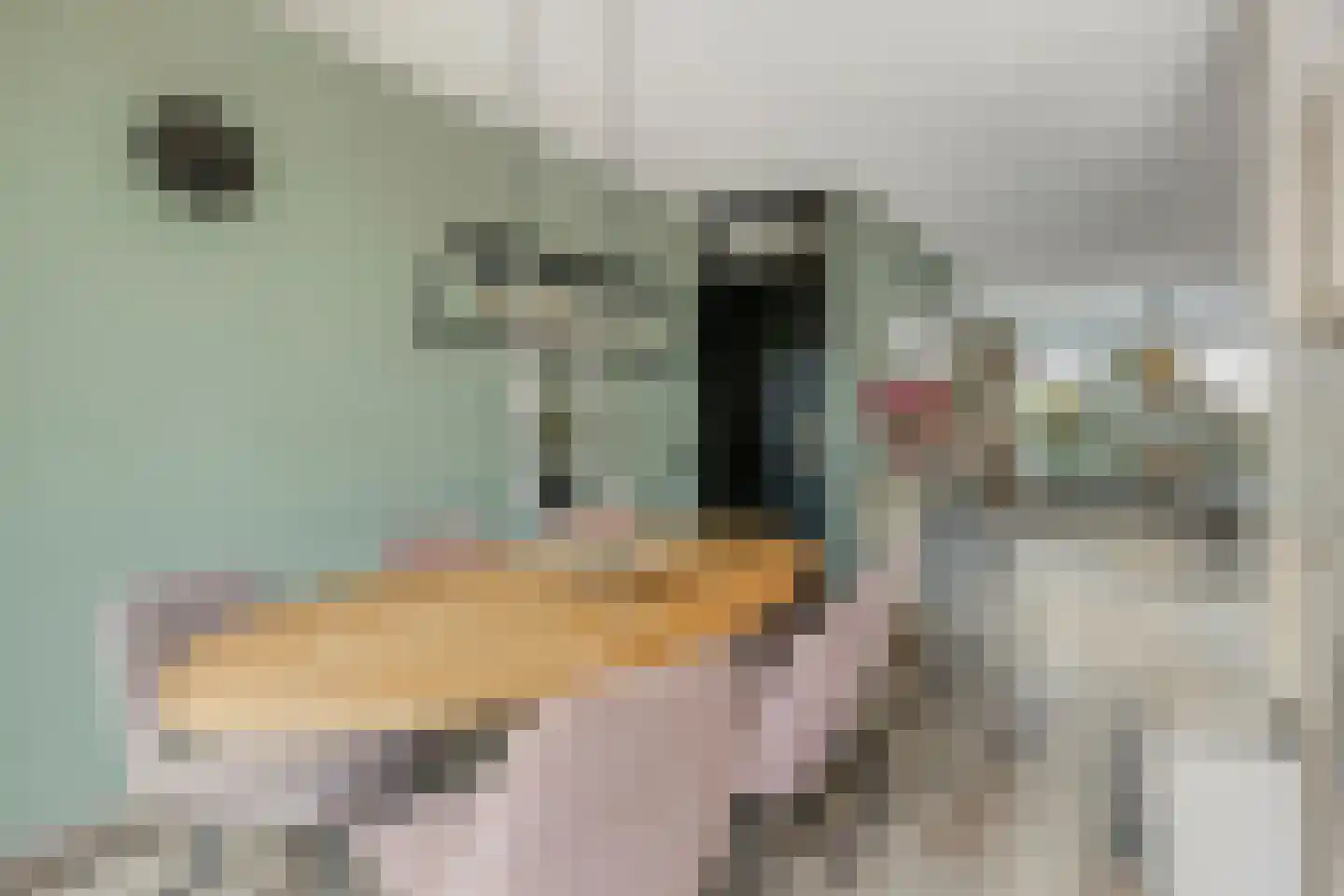 Sanshofstraat 12 Venray thumbnail 13