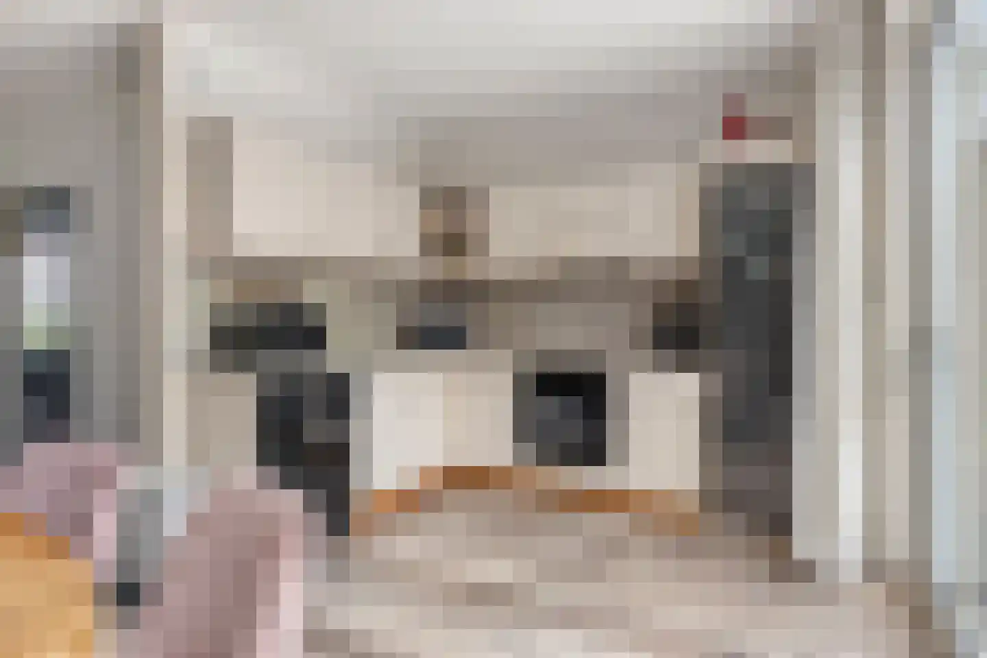 Sanshofstraat 12 Venray thumbnail 14