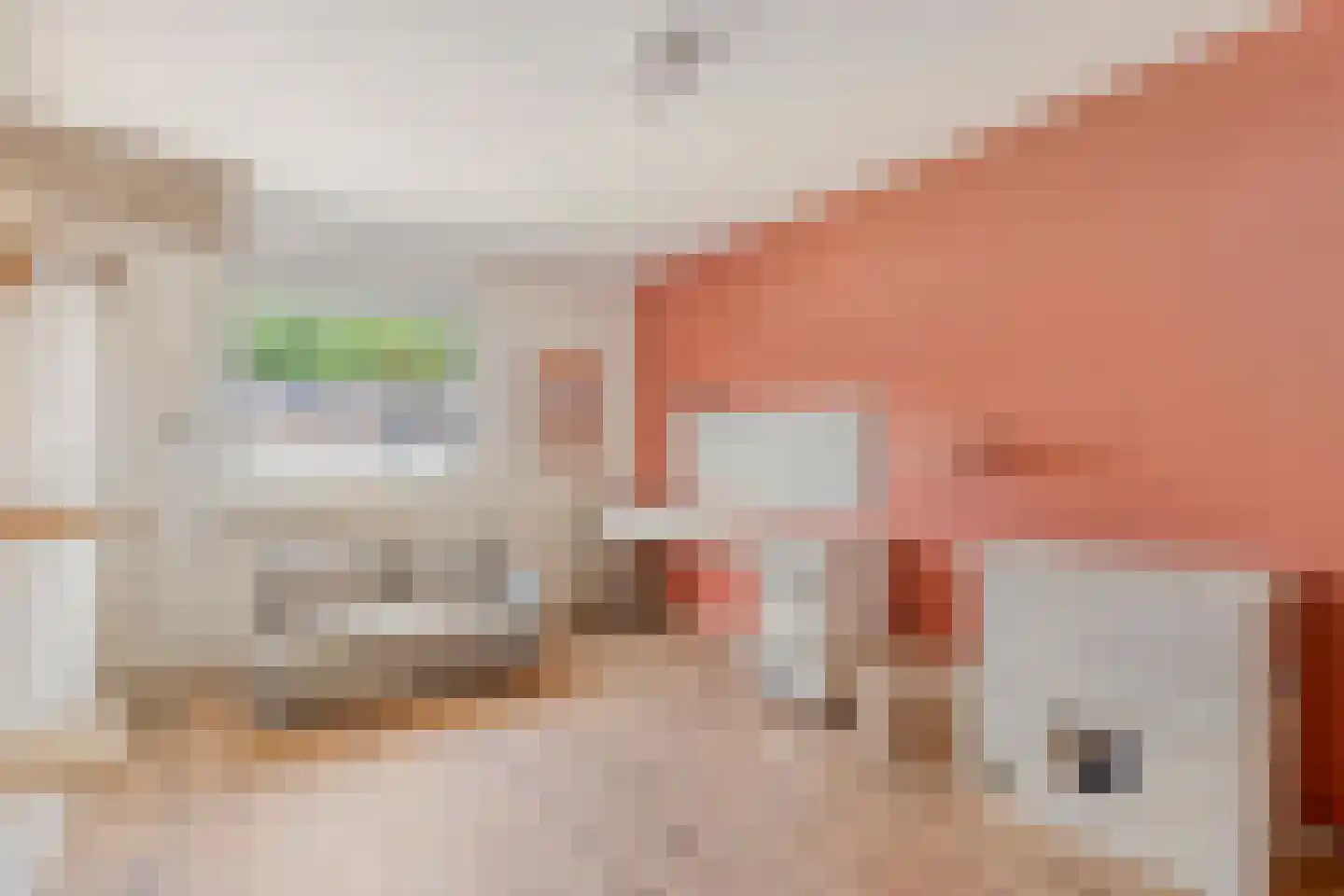 Sanshofstraat 12 Venray thumbnail 19