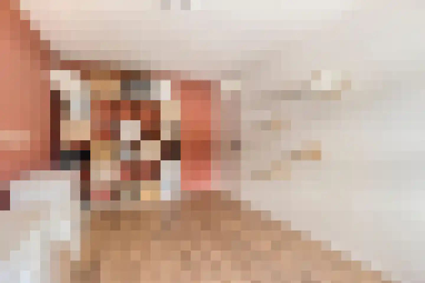 Sanshofstraat 12 Venray thumbnail 20