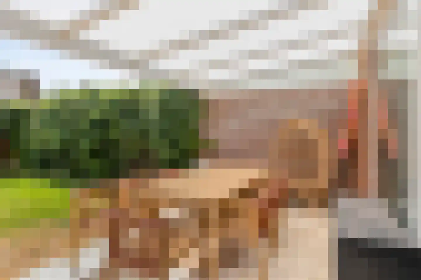 Sanshofstraat 12 Venray thumbnail 25