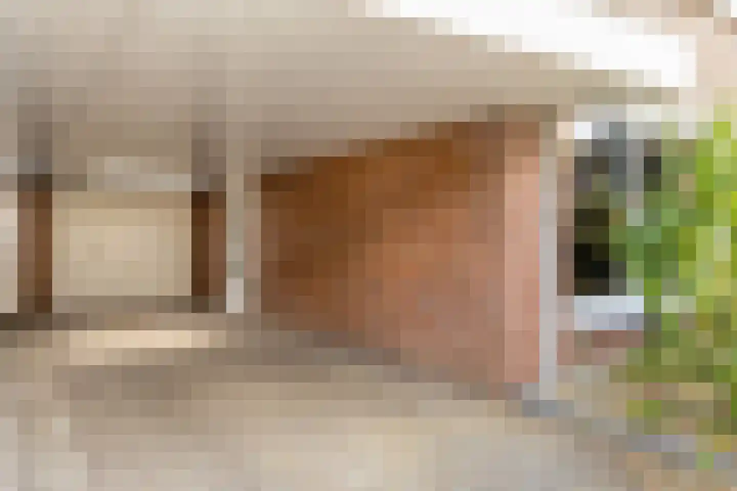 Sanshofstraat 12 Venray thumbnail 5