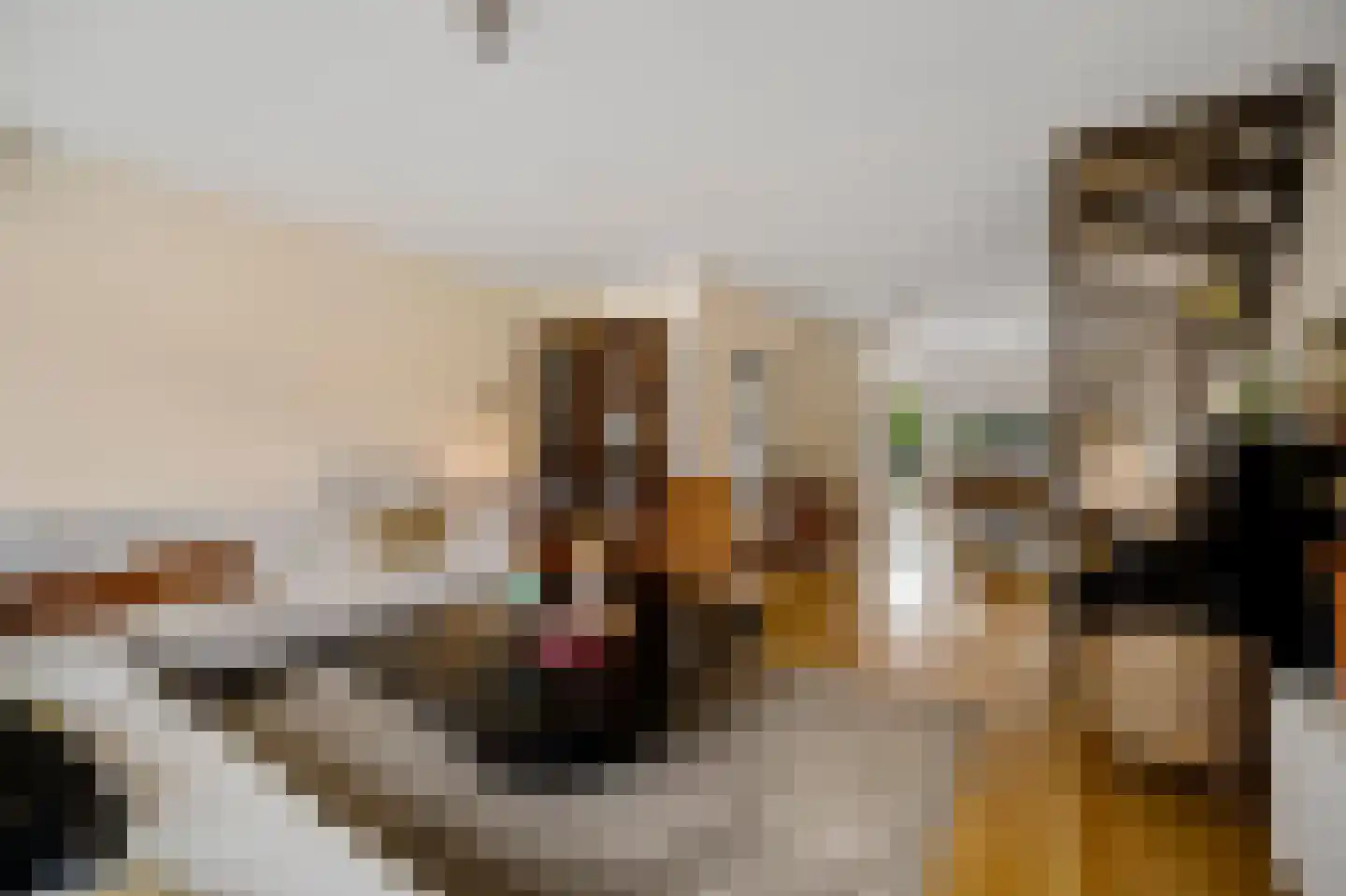 Sanshofstraat 20 Venray thumbnail 18