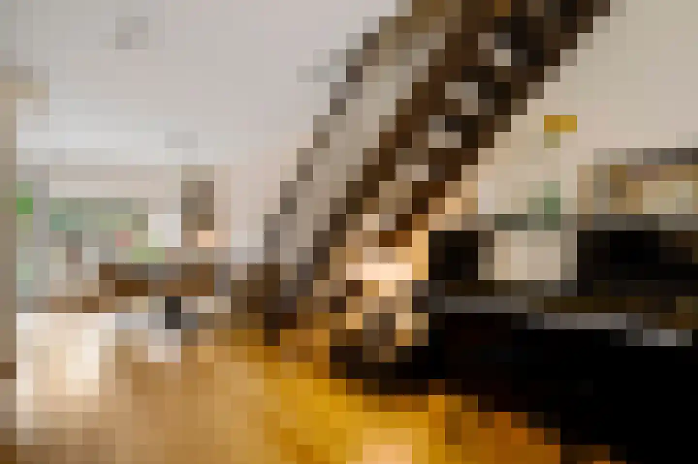 Sanshofstraat 20 Venray thumbnail 20