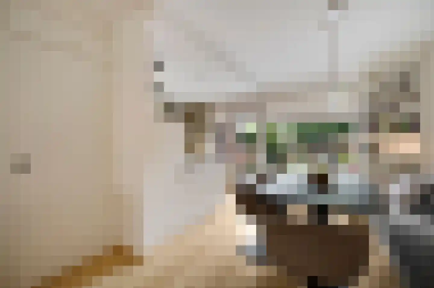 Sanshofstraat 20 Venray thumbnail 22