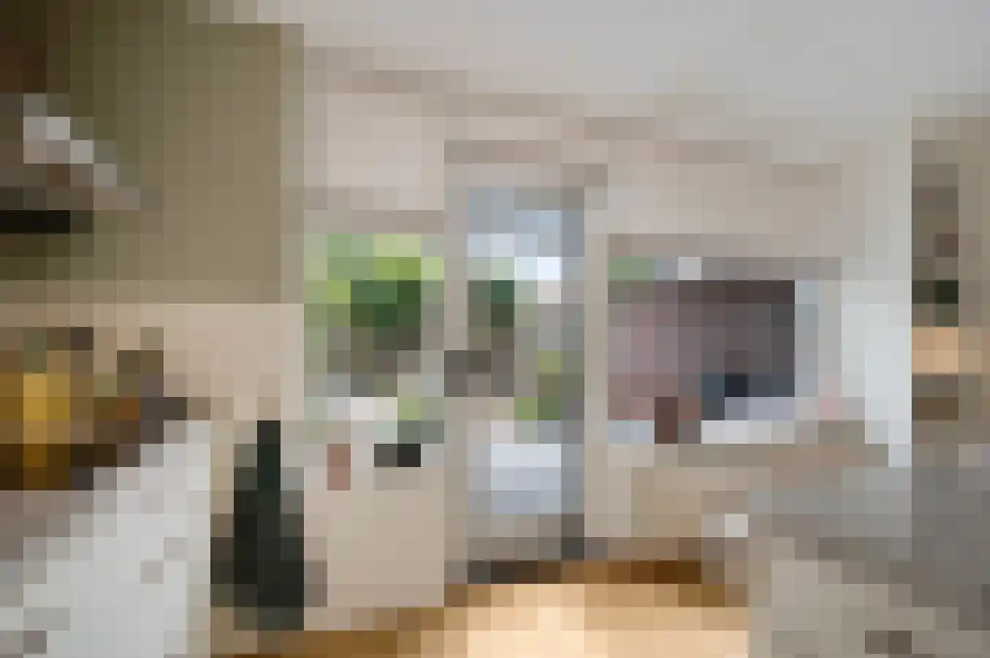 Sanshofstraat 20 Venray thumbnail 25