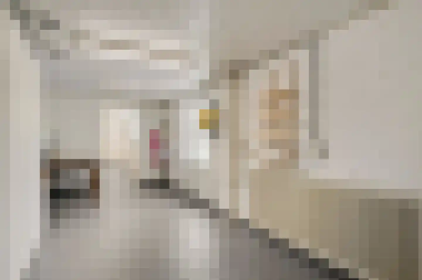 Sanshofstraat 20 Venray thumbnail 28
