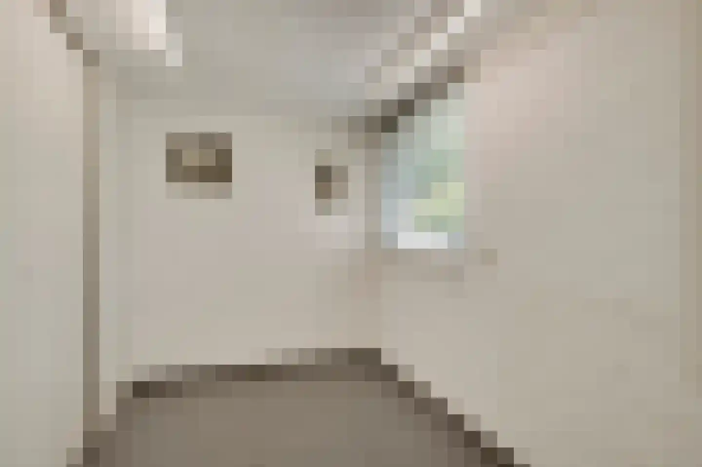 Sanshofstraat 20 Venray thumbnail 30