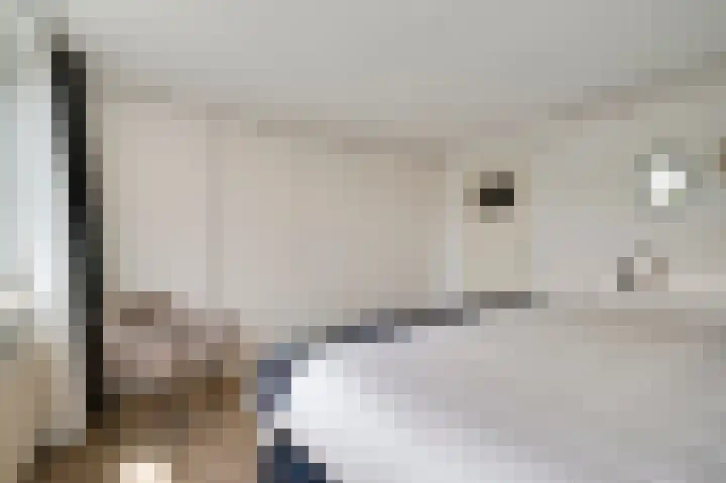 Sanshofstraat 20 Venray thumbnail 35