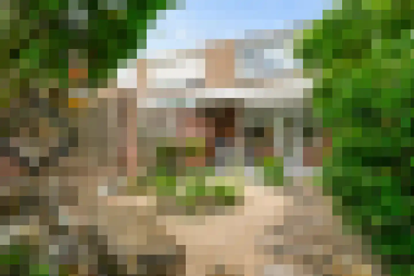 Sanshofstraat 20 Venray thumbnail 46