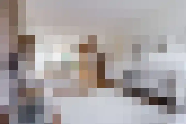 Sansovinostraat 13 Eindhoven thumbnail 10