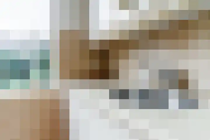 Sansovinostraat 13 Eindhoven thumbnail 14