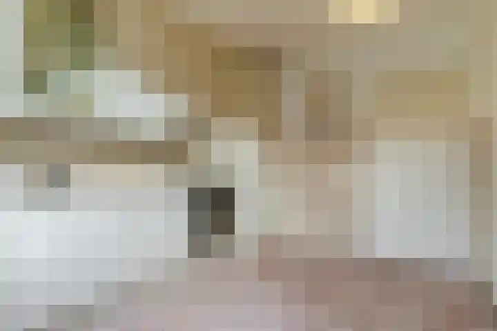 Sansovinostraat 13 Eindhoven thumbnail 15