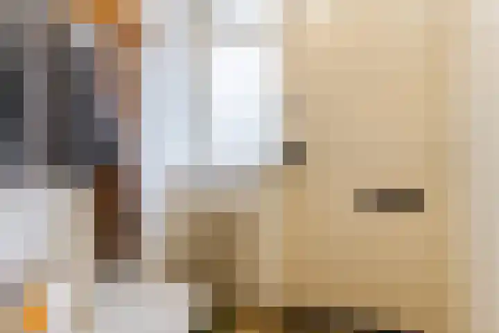 Sansovinostraat 13 Eindhoven thumbnail 16