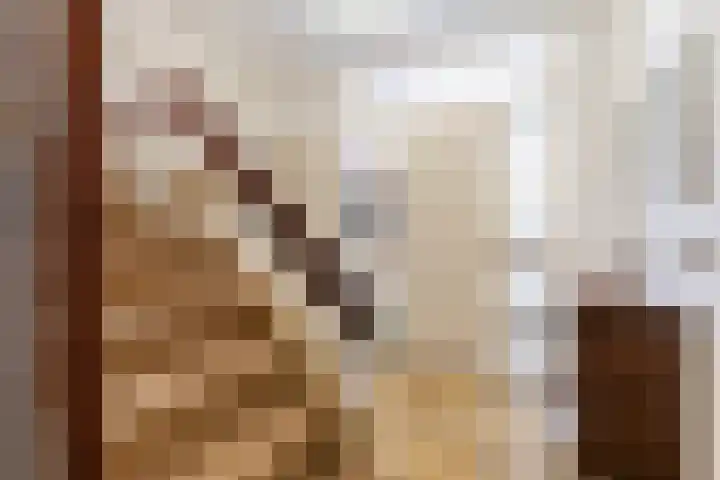 Sansovinostraat 13 Eindhoven thumbnail 18