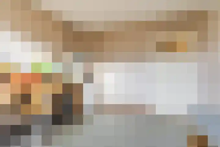 Sansovinostraat 13 Eindhoven thumbnail 28