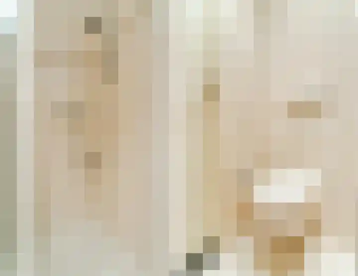 Sansovinostraat 13 Eindhoven thumbnail 30