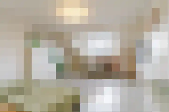 Sansovinostraat 13 Eindhoven thumbnail 33