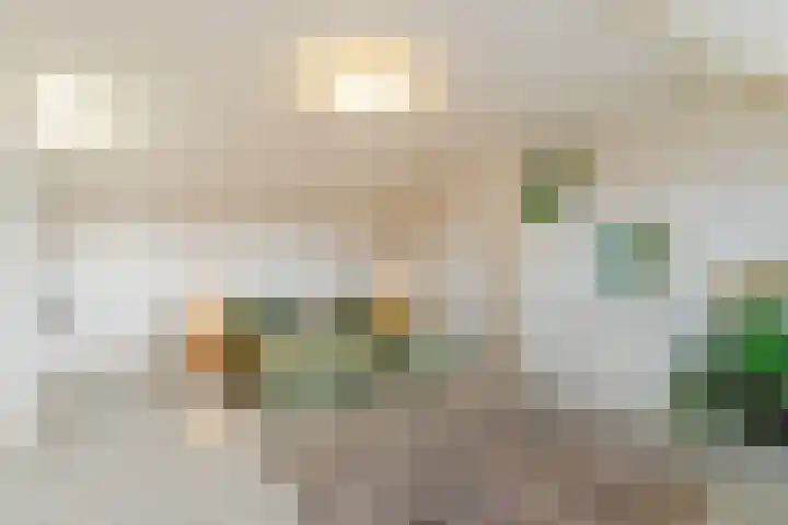 Sansovinostraat 13 Eindhoven thumbnail 34