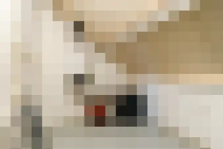 Sansovinostraat 13 Eindhoven thumbnail 37