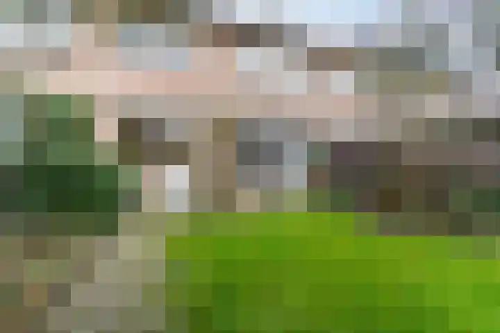 Sansovinostraat 13 Eindhoven thumbnail 42