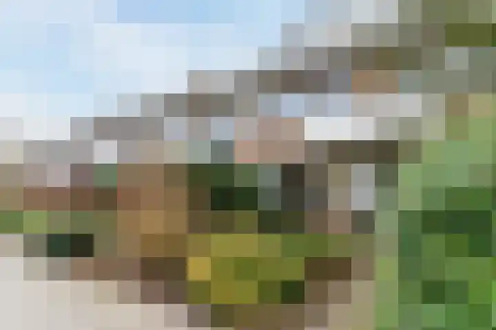 Sansovinostraat 13 Eindhoven thumbnail 6