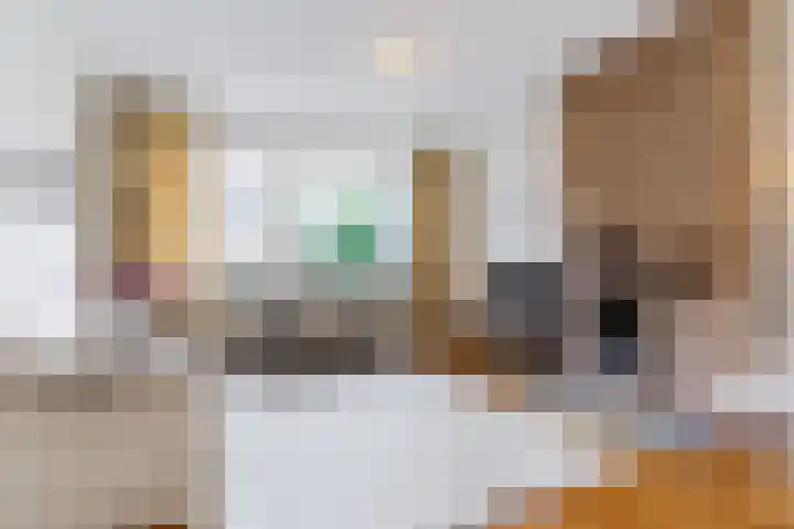 Sansovinostraat 13 Eindhoven thumbnail 7