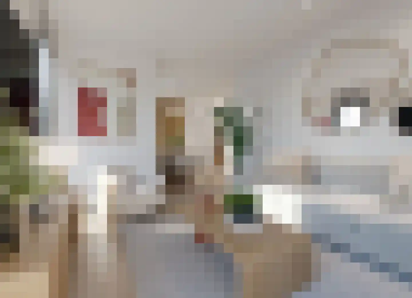 Santa Cruzdreef 22 T Utrecht thumbnail 4
