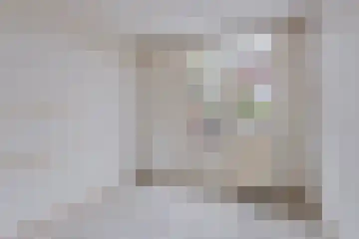 Santandererf 8 Rotterdam thumbnail 15