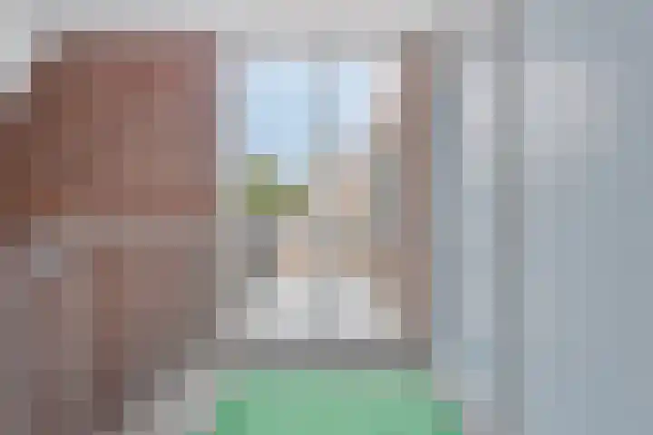 Santandererf 8 Rotterdam thumbnail 7