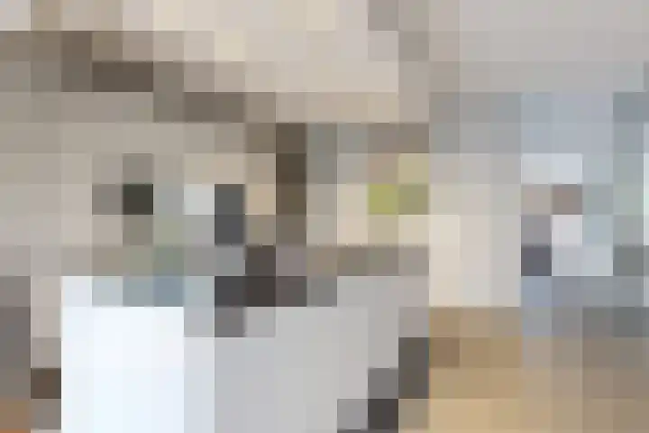 Santberge 1 Klundert thumbnail 27