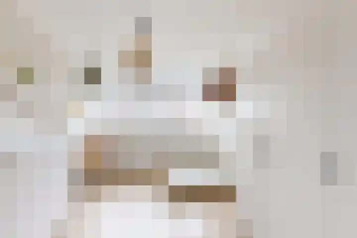 Santberge 1 Klundert thumbnail 45
