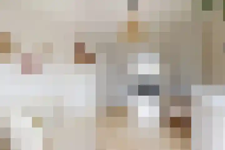 Santberge 1 Klundert thumbnail 46