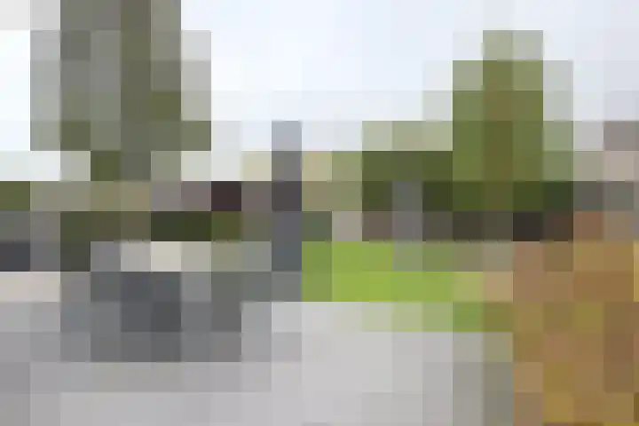 Santberge 1 Klundert thumbnail 5