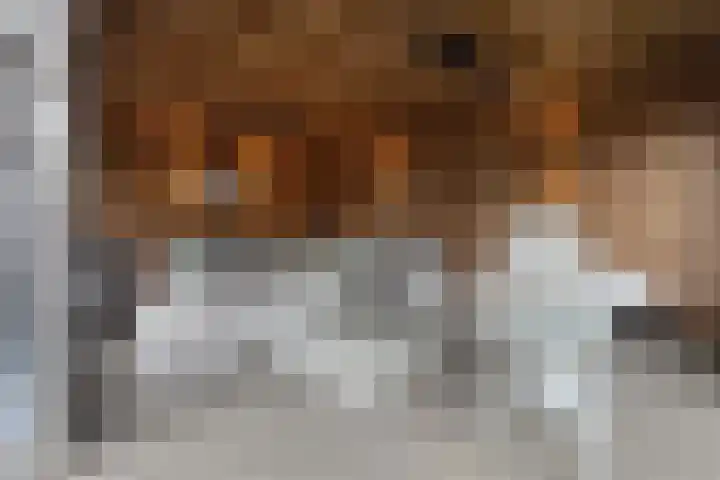 Santberge 1 Klundert thumbnail 6