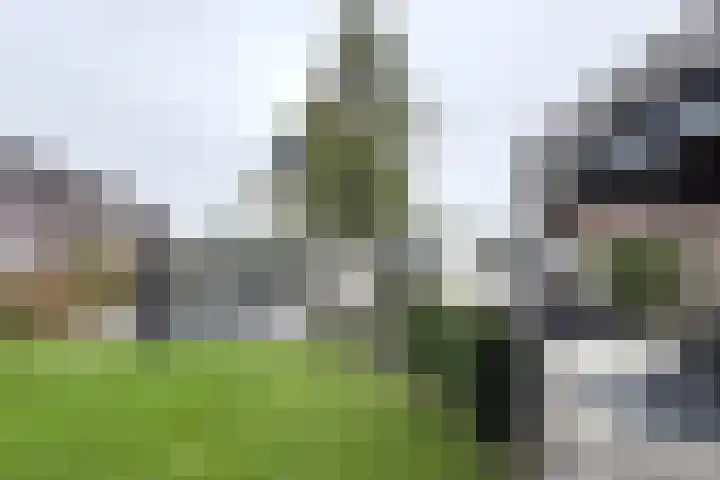 Santberge 1 Klundert thumbnail 62