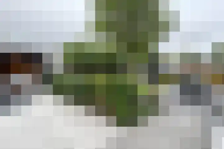 Santberge 1 Klundert thumbnail 63