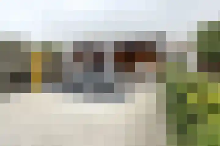 Santberge 1 Klundert thumbnail 64