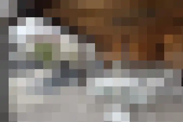 Santberge 1 Klundert thumbnail 65