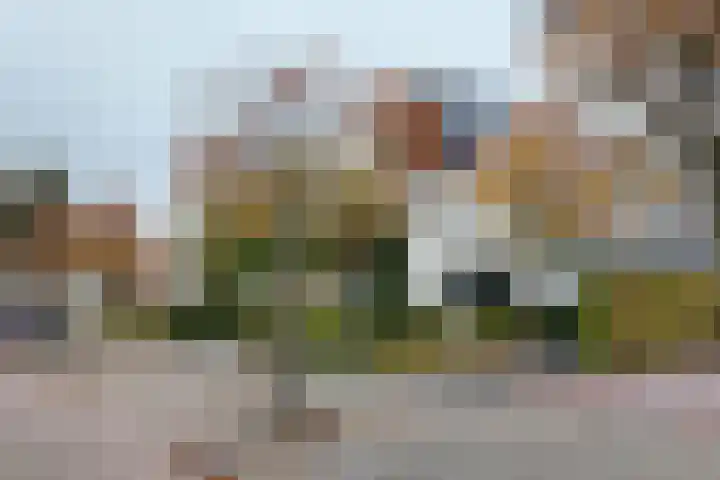 Santberge 1 Klundert thumbnail 69