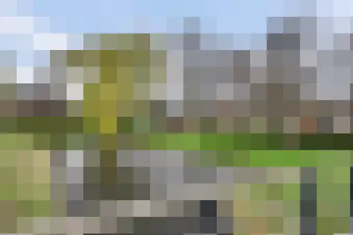Santberge 10 Klundert thumbnail 37
