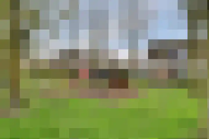 Santberge 10 Klundert thumbnail 38