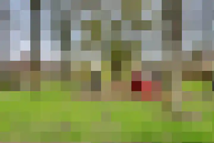 Santberge 10 Klundert thumbnail 39