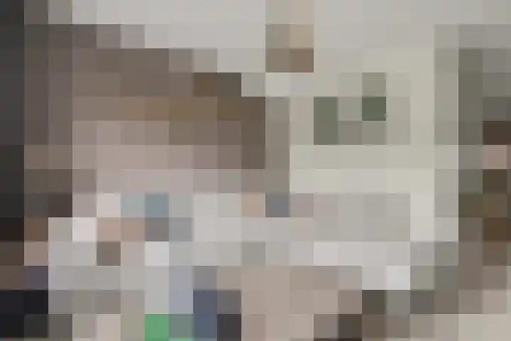 Santberge 10 Klundert thumbnail 6